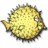 Apps openbsd